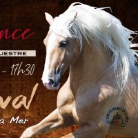 Réservation au Grand Spectacle Équestre de la Feria du Cheval le 13 Juillet